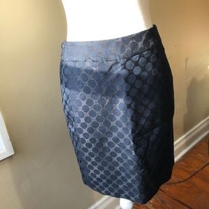 Navy Skirt from Banana Republic, SZ 2